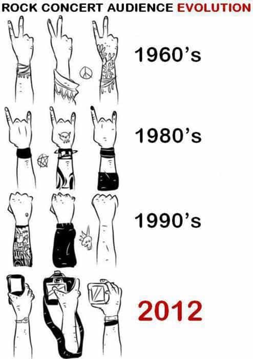 Rock Concert Audience Evolution