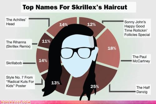 Top Names For Skrillex's Haircut