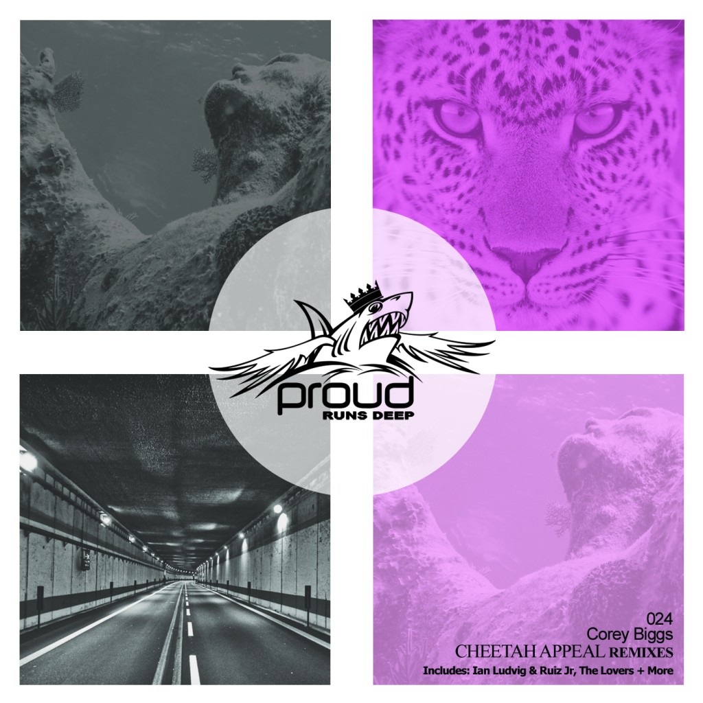 Corey Biggs - Cheetah Appeal Remixes