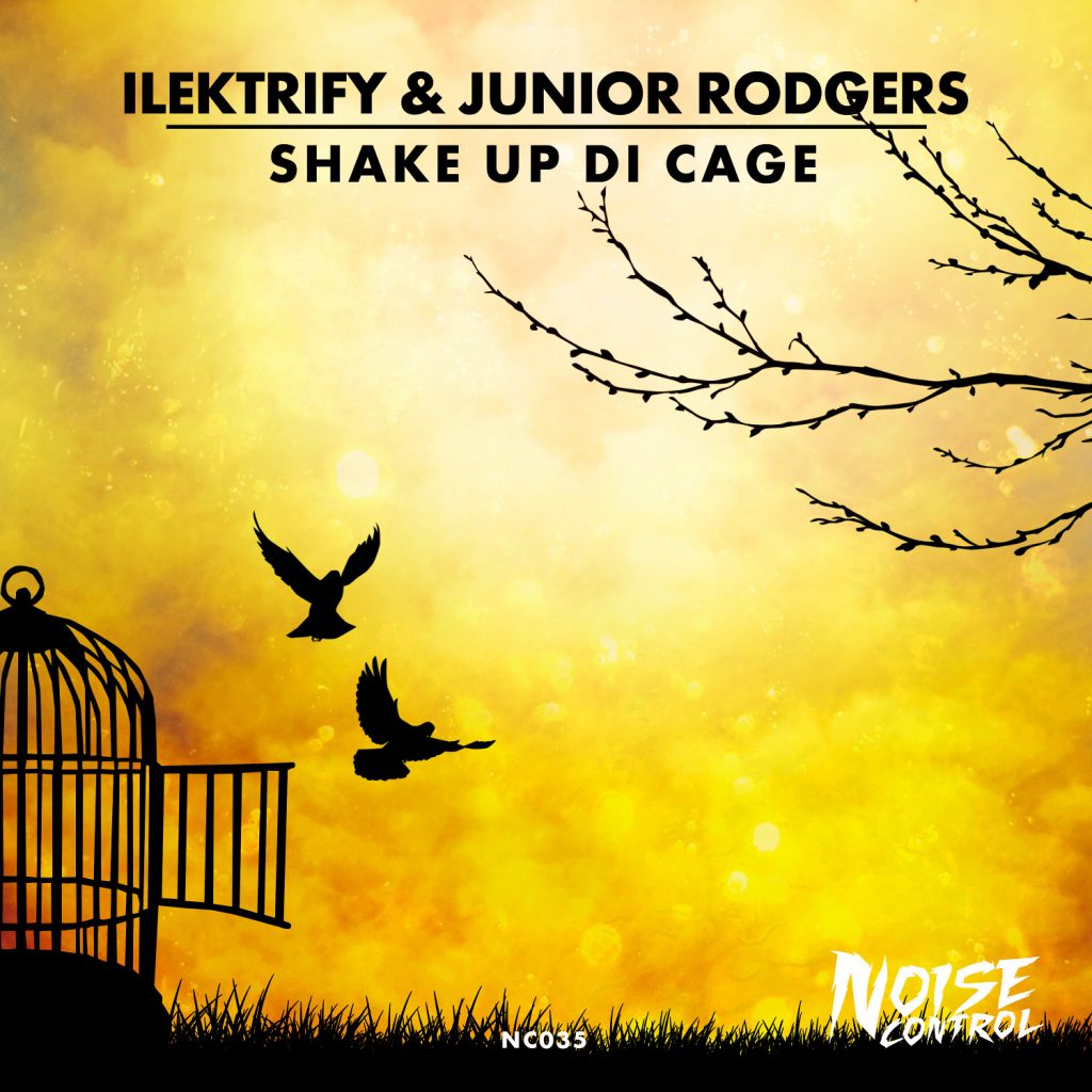 ilektrify-junior-rodgers-shake-up-di-cage-1500