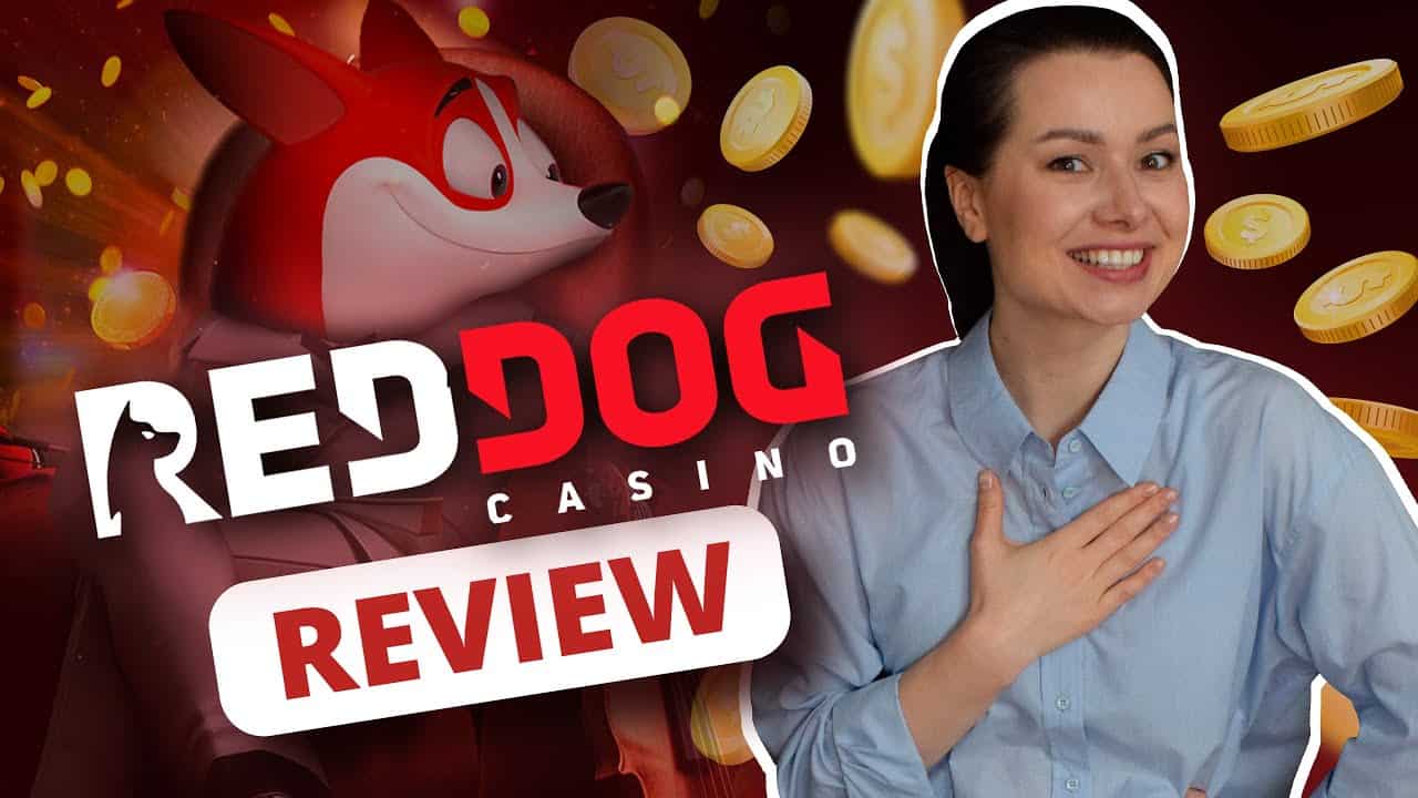 Definition deres hår Bonuses at Red Dog Casino: How to get no deposit bonuses | Technology -  Music Crowns